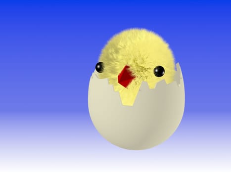Easter egg with chicken. Please see some similar pictures from my portfolio:.