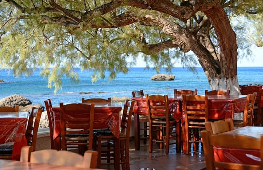 Taverna