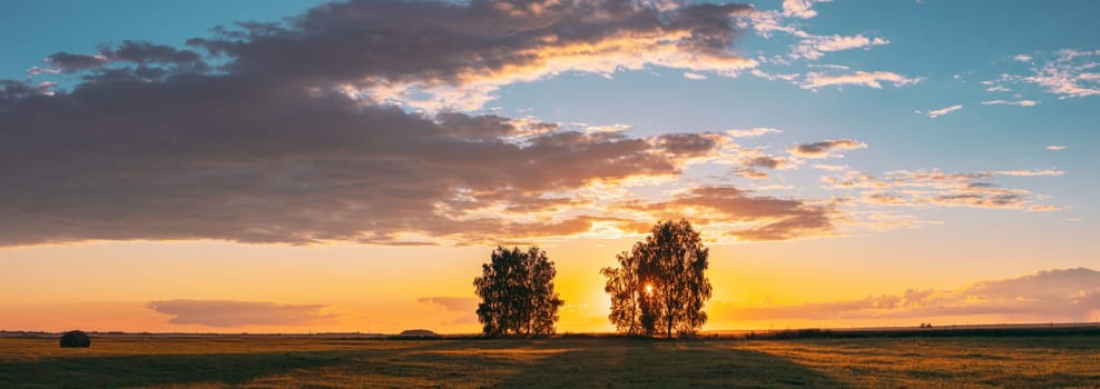 Sun Shining Through Tree Canopy. Trees Woods In Meadow During Sunset Sunrise. Bright Colorful Dramatic Sky And Dark Ground With Trees Silhouettes Landscape.