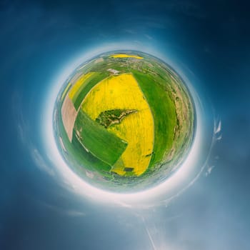 Aerial View Green Countryside Rural Yellow Canola Colza Field Meadow Landscape Sunny Spring Day. Top View Of Beautiful European Nature From High Attitude. Little Small Planet Concept.