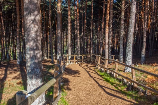 La Garganta forest Wooden Handrail. Magic place in the heart of Ambroz Valley, Banos de Montemayor, Caceres, Extremadura, Spain