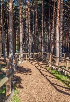 La Garganta forest Wooden Handrail. Magic place in the heart of Ambroz Valley, Banos de Montemayor, Caceres, Extremadura, Spain