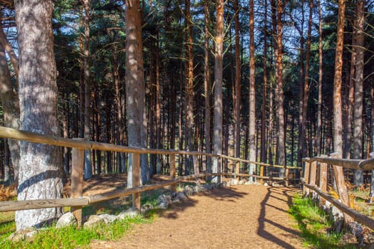 La Garganta forest Wooden Handrail. Magic place in the heart of Ambroz Valley, Banos de Montemayor, Caceres, Extremadura, Spain