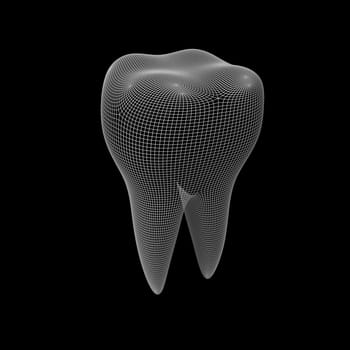 tooth wireframe