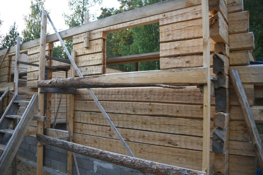 A log house is called a timmerhus in Sweden. The walls are made of pine and the roof beams are made of more flexible spruce. After assembly,the wood is painted with linseed oil,balsamic turpentine