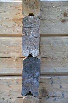 Tongue and groove on a log home. The walls are made of pine and the roof beams are made of the more flexible spruce. After assembly,the wood is painted with linseed oil,balsamic turpentine