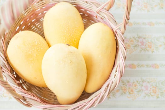Fresh ripe thai yellow mango, stock photo