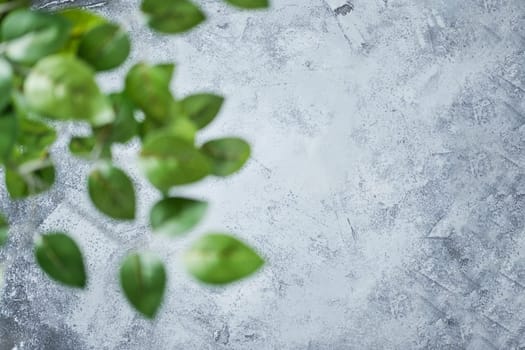 Abstract concrete background with blurred foreground green leaves. Blurred front and clear back.