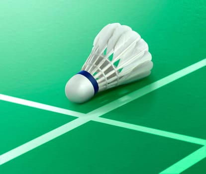 Indoor Badminton ball on green Badminton court