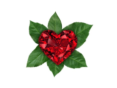 Heart shaped diamond on rose leaves