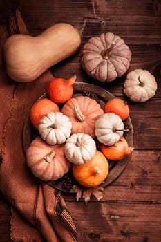 Autumn still life with assorted pumpkins on wooden surface in vintage style