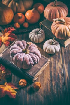 Rustic autumn still life with different pumpkins on wooden surface in vintage style