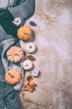 Happy Thanksgiving concept. Autumn composition with ripe pumpkins, fallen leaves, dry flowers, blanket on rustic background. Flat lay, top view, copy space