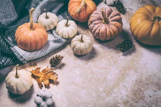 Happy Thanksgiving concept. Autumn composition with ripe pumpkins, fallen leaves, dry flowers, blanket on rustic background. Flat lay, top view, copy space