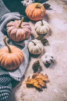Happy Thanksgiving concept. Autumn composition with ripe pumpkins, fallen leaves, dry flowers, blanket on rustic background. Flat lay, top view, copy space