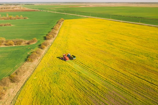 Aerial View Of Rural Landscape. Combine Harvester And Tractor Working Together In Field. Harvesting Of Oilseed In Spring Season. Agricultural Machines Collecting Blooming Rapeseeds Canola Colza. Elevated View.