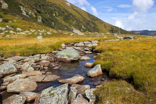 A clear mountain stream on the green meadows in the Austrian Alps, Steiermark, Austria