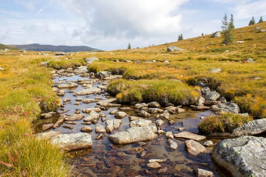 A clear mountain stream on the green meadows in the Austrian Alps, Steiermark, Austria
