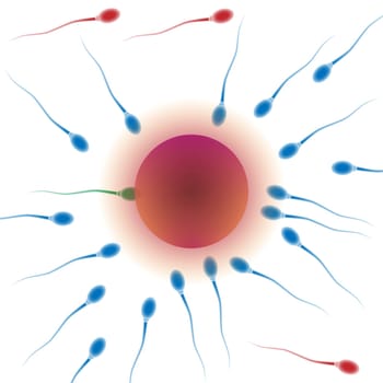 Illustration of conception a new life on a white background.