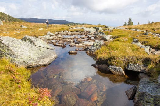 A clear mountain stream on the green meadows in the Austrian Alps, Steiermark, Austria