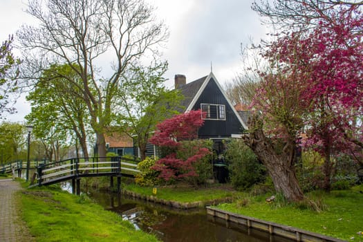 Traditional Houses in the Historic Village of Zaanse Schans on the Zaan River in the Netherlands
