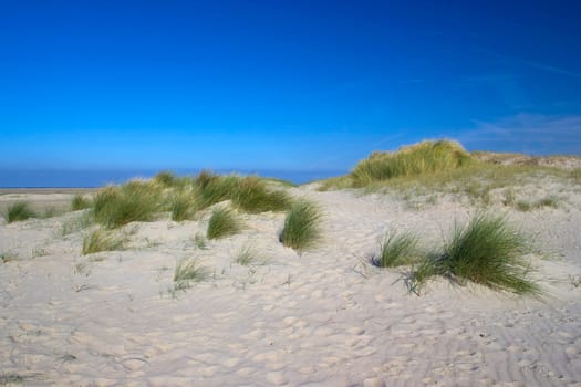 the dunes, Renesse, Zeeland, the Netherlands