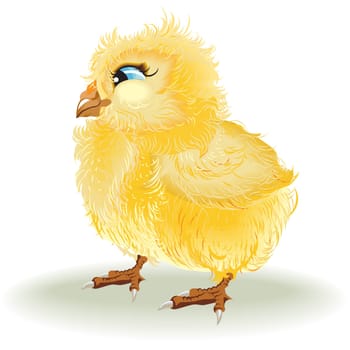 chicken in vector format