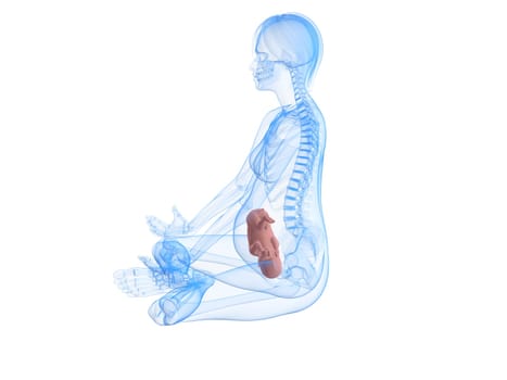 3d rendered illustration of a sitting pregnant woman