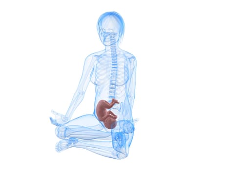 3d rendered illustration of a sitting pregnant woman