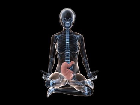 3d rendered illustration of a sitting pregnant woman
