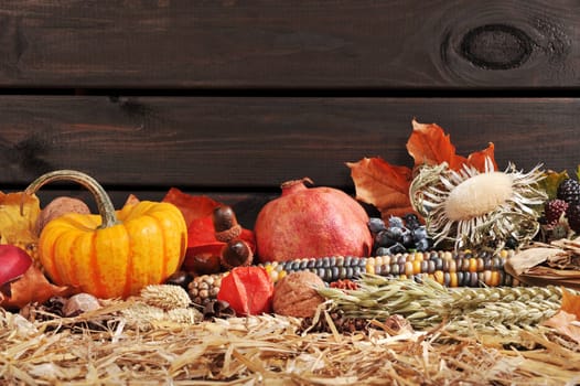 Thanksgiving - fruit and vegetables on straw in front of an old weathered wooden wall with text space