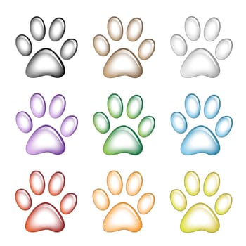 Illustration paw prints dogs in different colors.