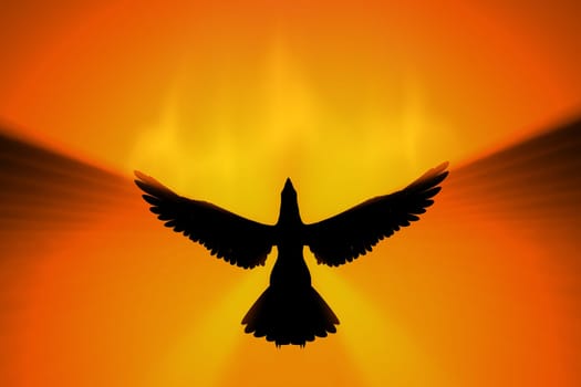 phoenix rising in fire 3d concept