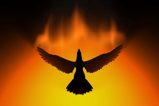 phoenix rising in fire 3d concept