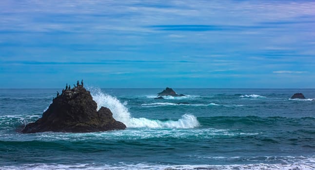 The  kamchatka peninsula, pacific ocean, waves and rocks. Selective focus