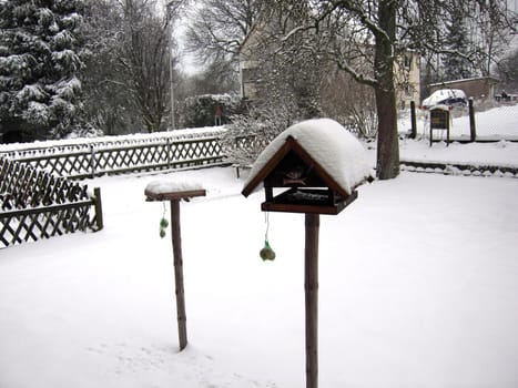 Winter garden with feeder house