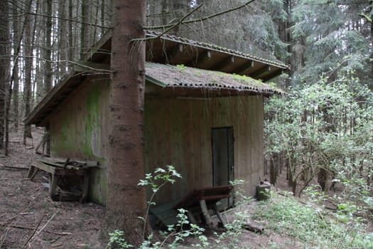 Hunting hut in a coniferous forest