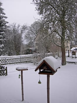 Winter garden with feeder house