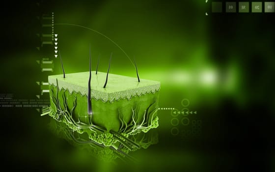 Digital illustration of Skin in colour background