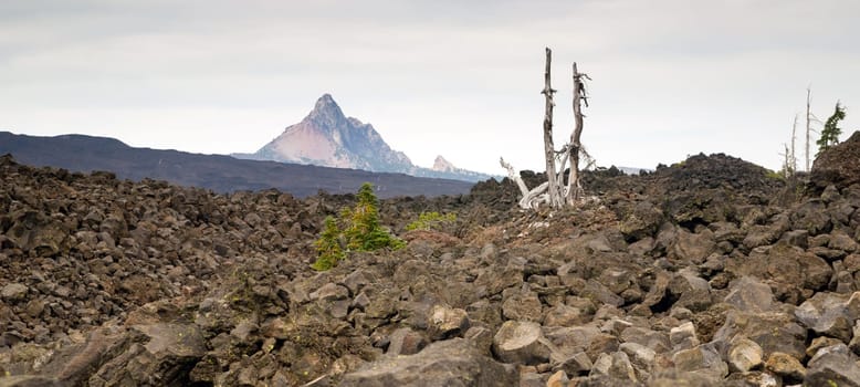 Mount Washington juts up into the horizon over a sea of lava.