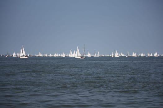lots of yachts sailing at the start of the round the island race 2014