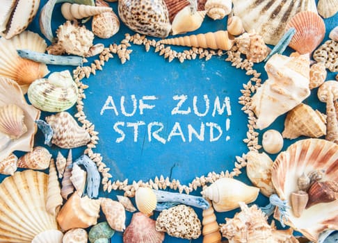 Weathered background made of wood with shells and beach goods
