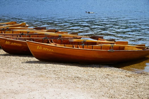 Rowboats on the shore of the lake Titisee