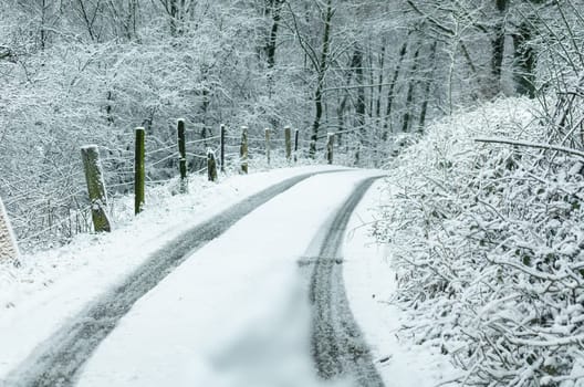 Rural road after snowfall. In the middle a fresh vehicle lane.