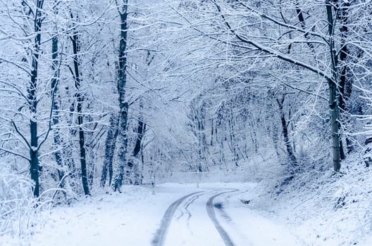Rural road after snowfall. In the middle a fresh vehicle lane.
