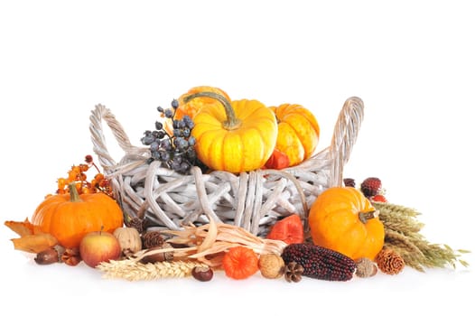 Thanksgiving - various pumpkins,berries,nuts and grains in the Rattankörbchen on a white background with text space