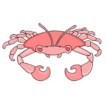 Baby Crab