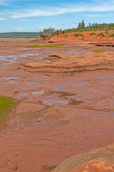 Exposed Rock at Low Tide in the Thomas Cove Coastal Reserve on the Bay of Fundy in Nova Scotia