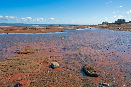 Tide Pools Along the Bay of Fundy at Burntcoat Head in Nova Scotia