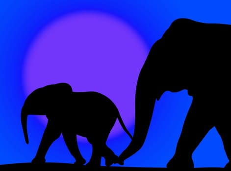 Elephant and her baby walking on a colorful sunset